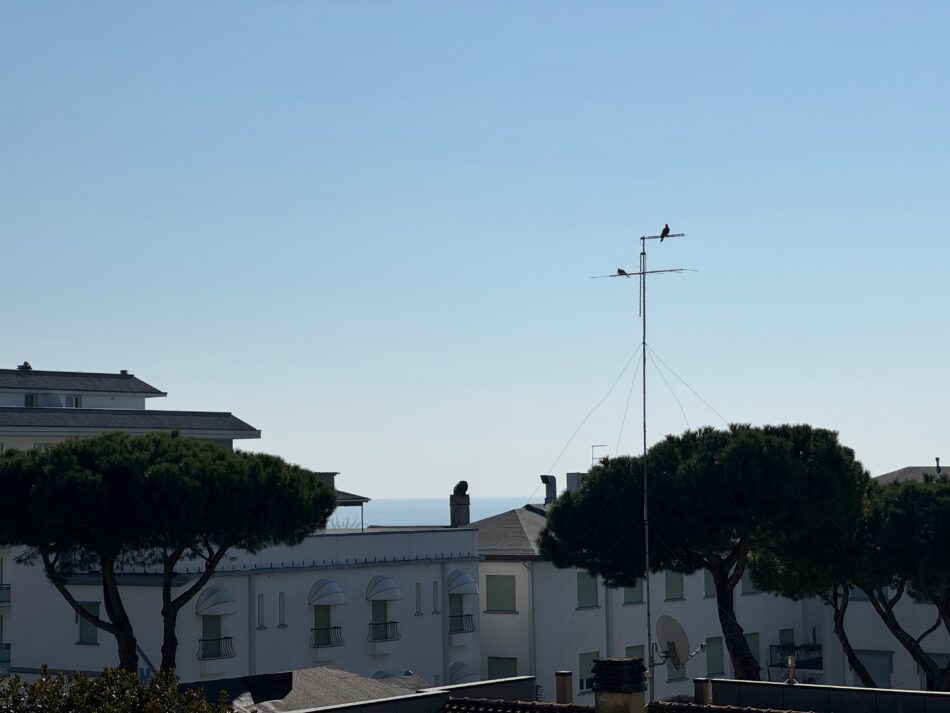 Marconi Deluxe | Jesolo | Venezia