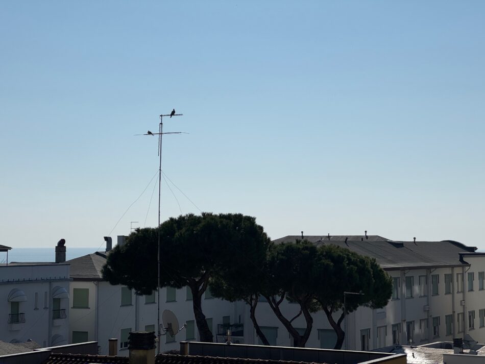 Marconi Deluxe | Jesolo | Venezia